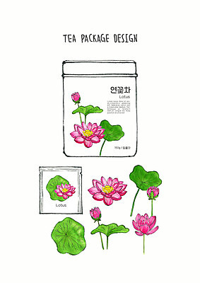 PSD 디자인 꽃 분홍색 일러스트 붓터치 수채화 연꽃 사람없음 초록색 컬러풀 차 연잎 번짐 패키지 티백 꽃차 연꽃차 국내일러스트 식물 음료 컬러 잎 차_음료 파일형식 효과