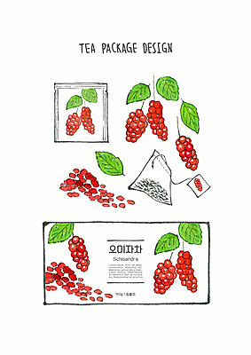 PSD 디자인 열매 꽃 잎 일러스트 붓터치 수채화 사람없음 빨간색 초록색 컬러풀 차 번짐 패키지 티백 오미자 국내일러스트 식물 음료 컬러 차_음료 파일형식 효과