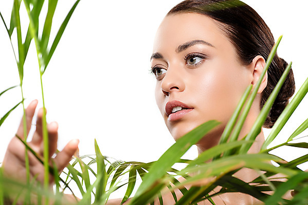 포토 JPG 스튜디오촬영 서양인 외국인 우먼라이프 응시 여자 얼굴 잎 실내 한명 누끼 사람 근접촬영 상반신 20대 성인 앞모습 초록색 뷰티 깨끗함 만지기 흰배경 성인여자한명만 국내포토 식물 1 라이프스타일 시선 뷰포인트 컬러 백그라운드 컨셉 모션 인종 청년 내부 신체부위 흰색 여자한명만 성인여자만 파일형식