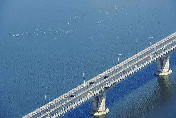 포토 JPG 주간 자동차 서울 한국 풍경 사람없음 야외 파란색 하이앵글 도시풍경 맑음 봄 한강 여의도 원효대교 가교 전경 국내포토 자연요소 건축물 계절 아시아 육상교통 뷰포인트 컬러 날씨 다리_건축물 도시 랜드마크 파일형식 탑뷰