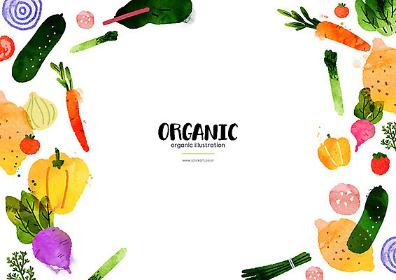 PSD 토마토 일러스트 양파 오이 파프리카 프레임 사람없음 컬러풀 당근 무 레몬 유기농 아스파라거스 비트 카피스페이스 국내일러스트 웰빙 컬러 채소 과일 뿌리채소 공백 파일형식