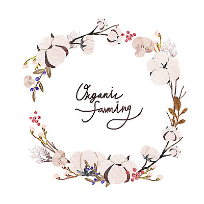 PSD 식물 열매 꽃 잎 일러스트 프레임 사람없음 컬러풀 버섯 나뭇가지 유기농 목화꽃 목화솜 카피스페이스 국내일러스트 나무 웰빙 컬러 공백 솜 파일형식