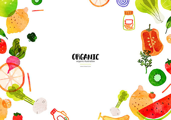 PSD 토마토 오렌지 일러스트 수박 파프리카 프레임 바나나 키위 사람없음 컬러풀 사과 브로콜리 무 유기농 청경채 양념통 비트 카피스페이스 국내일러스트 웰빙 컬러 채소 과일 뿌리채소 통 공백 양념 파일형식