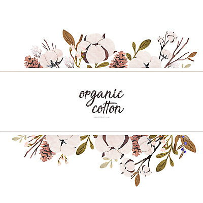 PSD 식물 잎 일러스트 프레임 사람없음 컬러풀 나뭇가지 유기농 목화꽃 목화솜 카피스페이스 국내일러스트 나무 웰빙 꽃 컬러 공백 솜 파일형식