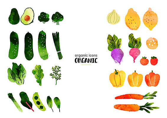 PSD 토마토 일러스트 양파 오이 파프리카 프레임 사람없음 컬러풀 당근 브로콜리 레몬 유기농 완두콩 아스파라거스 청경채 부추 아보카도 비트 카피스페이스 국내일러스트 웰빙 컬러 채소 과일 콩 뿌리채소 공백 파일형식