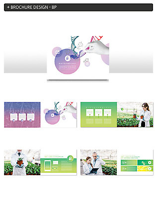 서양인 외국인 식물 템플릿 손 응시 여자 노년 남자 ZIP 화분 과학 실험 들기 사람 팜플렛 여러명 20대 성인 신체부위 초록색 실험복 60대 DNA 생명공학 연구원 문서 생명과학 인디자인 INDD 이미지템플릿 직업 시선 컬러 다수 의학 모션 인종 청년 가운 파일형식