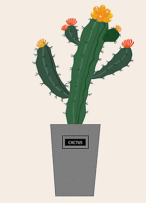 식물 꽃 화분 일러스트 선인장 사람없음 초록색 컬러풀 한개 꽃병 회색 오브젝트 정물화 트로피컬아트 국내일러스트 AI파일 1 컬러 그림 파일형식 벡터