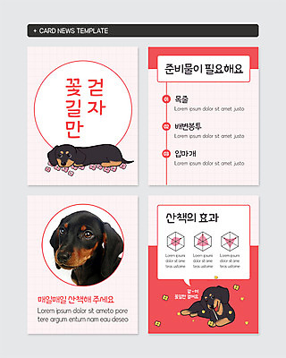 PSD 템플릿 반려견 웹템플릿 그래프 세마리 사람없음 일상 생활 반려동물 걷기 산책 강아지 목줄 반려 배변봉투 입마개 준비물 카드뉴스 리빙코랄 이미지템플릿 동물 모션 휴식 봉투 3 라이프 개 파일형식 트랜드컬러 코랄 반려용품