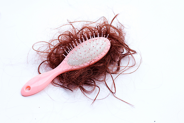 포토 JPG 해외이미지 실내 사람없음 머리카락 머리빗 오브젝트 흰배경 탈모 숱 해외포토 백그라운드 내부 머리 흰색 미용용품 증상 파일형식 이미지허브