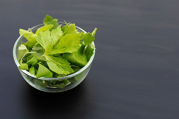 포토 JPG 해외이미지 그릇 백그라운드 잎 검은배경 사람없음 신선 유기농 담기 샐러리 카피스페이스 해외포토 식물 식기 웰빙 채소 모션 검은색 공백 파일형식 이미지허브