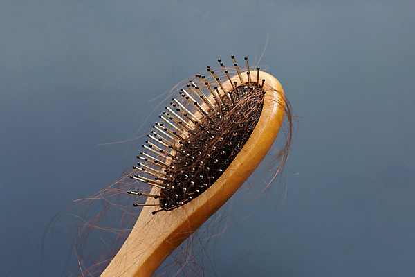 포토 JPG 해외이미지 실내 사람없음 머리카락 머리빗 오브젝트 탈모 남색배경 숱 해외포토 백그라운드 내부 머리 미용용품 남색 증상 파일형식 이미지허브