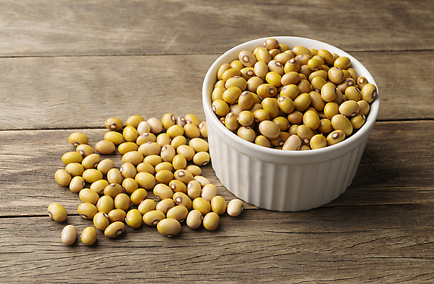 포토 JPG 해외이미지 식물 음식 다이어트 채소 콩 건조 건강 씨앗 사람없음 목재 빨간색 노란색 식사 사발 신장 낟알 유기농 날것 섬유 내추럴 단백질 채식주의자 비건 해외포토 나무 웰빙 컬러 재료 곡류 직물 사기그릇 비뇨기관 채식 영양소 파일형식 이미지허브