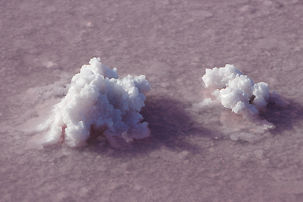 포토 JPG 해외이미지 계절 호수 음식 바다 분홍색 여행 자연 건조 수영장 건강 사람없음 빨간색 물 컬러풀 반사 시골 해조류 호주 크리스탈 향신료 묘사 질감 소금 진흙 테라피 내추럴 깊이 오지 특별함 막 해외포토 자연요소 컬러 컨셉 뷰티 해양식물 오세아니아 광석 생태계 향미료 파일형식 이미지허브