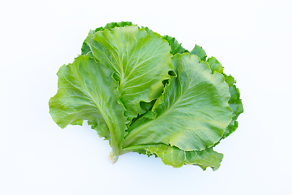 포토 JPG 해외이미지 백그라운드 사람없음 신선 상추 흰배경 유기농 해외포토 웰빙 채소 흰색 파일형식 이미지허브