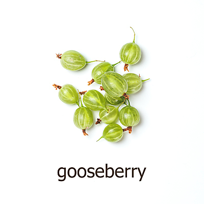 포토 JPG 해외이미지 영어 사람없음 초록색 하이앵글 오브젝트 구스베리 해외포토 문자 열매 뷰포인트 컬러 파일형식 이미지허브