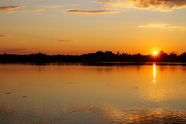 포토 JPG 해외이미지 나무 구름 호수 바다 여행 백그라운드 오렌지 자연 하늘 아침 풍경 사람없음 야외 빨간색 물 여름 파란색 빛 강 컬러풀 햇빛 태양 뷰티 반사 평화 일출 일몰 놀람 새벽 거울 연못 매끈함 저녁 숲 수평선 해외포토 주간 자연요소 식물 계절 감정 컬러 컨셉 과일 표정 노을 감각 야간 생태계 파일형식 이미지허브