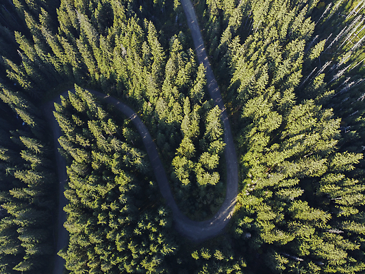포토 JPG 해외이미지 나무 공원 도로 길 여행 백그라운드 곡선 교통시설 자동차 자연 산 거리 안테나 파노라마 풍경 사람없음 야외 초록색 여름 뷰티 환경 가을 시골 소나무 고속도로 숲 아스팔트 내추럴 굴곡 넘어짐 드론 삼림지대 조감도 해외포토 식물 계절 공공시설 선 육상교통 컬러 교통 통신 모션 촬영기법 시설 생태계 파일형식 이미지허브