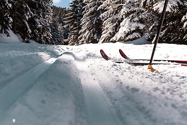 포토 JPG 해외이미지 나무 계절 공원 길 스포츠 여행 백그라운드 십자가 겨울 자국 자연 하늘 휴가 스키 건강 사람없음 야외 달리기 운동 태양 뷰티 얼음 추위 덮개 흰색 황무지 숲 언덕 서리 장면 스키선수 선로 눈내림 해외포토 자연요소 식물 공공시설 컬러 모션 겨울스포츠 운동선수 눈_날씨 뚜껑 생태계 파일형식 이미지허브