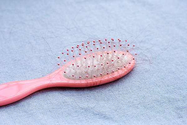 포토 JPG 해외이미지 실내 사람없음 머리카락 머리빗 오브젝트 파란배경 탈모 해외포토 백그라운드 내부 파란색 머리 미용용품 증상 파일형식 이미지허브