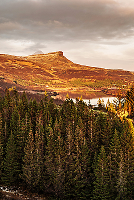 포토 JPG 해외이미지 나무 구름 계절 유럽 호수 여행 자연 하늘 산 아이슬란드 풍경 사람없음 야외 세로 물 여름 태양 일몰 황금 숲 내추럴 해외포토 자연요소 식물 나라 노을 생태계 파일형식 이미지허브
