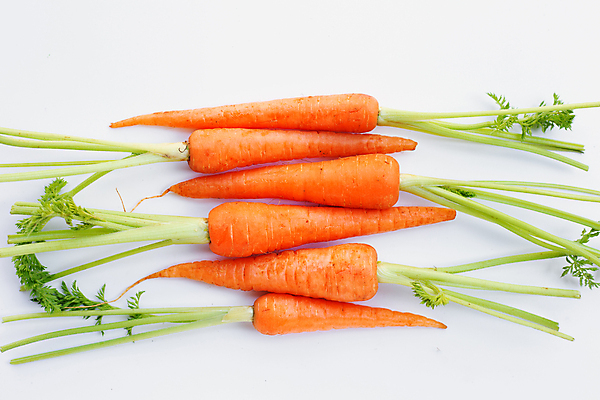 포토 JPG 해외이미지 실내 사람없음 하이앵글 당근 흰배경 해외포토 뷰포인트 백그라운드 뿌리채소 내부 흰색 파일형식 이미지허브