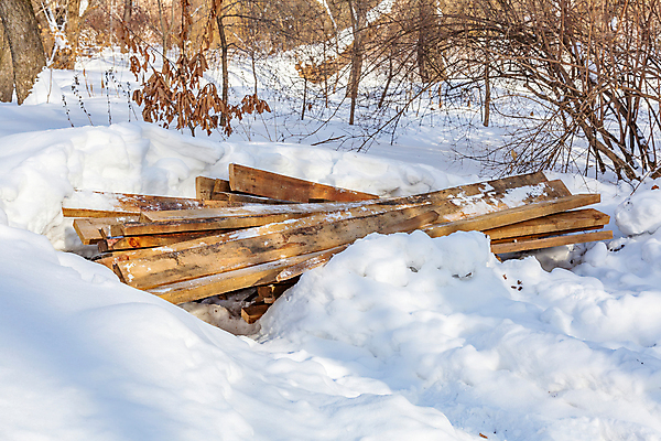 포토 JPG 해외이미지 계절 백그라운드 겨울 사람없음 목재 갈색 노란색 쌓기 정원 흰색 판넬 거친 12월 자르기 오브젝트 원예 질감 날것 조경 목공예 잡동사니 흙더미 1월 패널 내추럴 뒤뜰 수목 눈내림 많음 해외포토 나무 컬러 컨셉 재료 모션 눈_날씨 취미 흙 날짜 공예 파일형식 더미 이미지허브