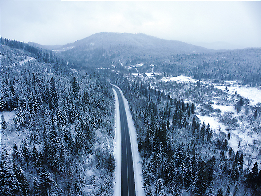 포토 JPG 해외이미지 나무 도로 겨울 자연 산 풍경 사람없음 야외 하이앵글 눈 가로수 해외포토 자연요소 식물 계절 길 뷰포인트 교통시설 날씨 생태계 파일형식 이미지허브
