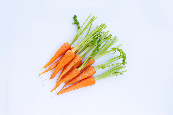 포토 JPG 해외이미지 실내 사람없음 하이앵글 당근 흰배경 해외포토 뷰포인트 백그라운드 뿌리채소 내부 흰색 파일형식 이미지허브