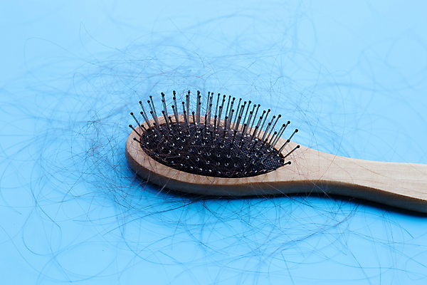 포토 JPG 해외이미지 실내 사람없음 머리카락 머리빗 오브젝트 파란배경 탈모 숱 해외포토 백그라운드 내부 파란색 머리 미용용품 증상 파일형식 이미지허브