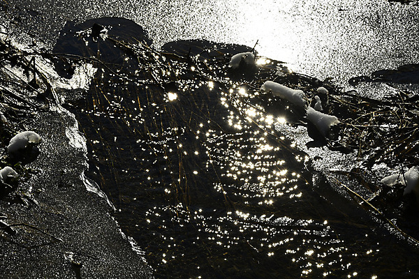 포토 JPG 해외이미지 나무 계절 자연 사람없음 야외 빛 태양 반사 환경 맑음 냉동 얼음 검은색 어둠 흰색 시골 개울 대머리 해외포토 자연요소 식물 헤어스타일 컬러 날씨 강 생태계 파일형식 이미지허브