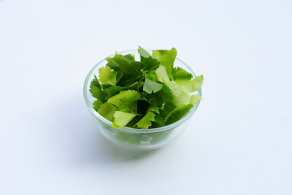 포토 JPG 해외이미지 그릇 백그라운드 잎 사람없음 신선 흰배경 유기농 담기 슬라이스 샐러리 해외포토 식물 식기 웰빙 채소 모션 흰색 파일형식 이미지허브