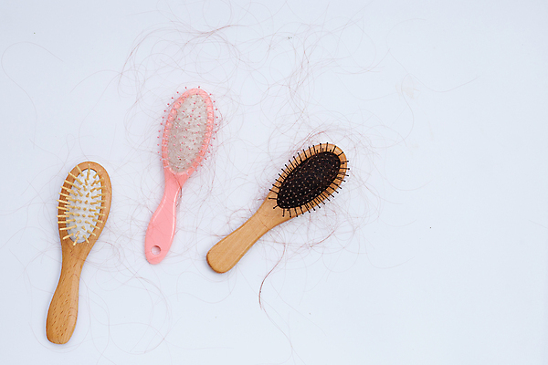 포토 JPG 해외이미지 실내 사람없음 머리카락 머리빗 오브젝트 흰배경 탈모 숱 해외포토 백그라운드 내부 머리 흰색 미용용품 증상 파일형식 이미지허브