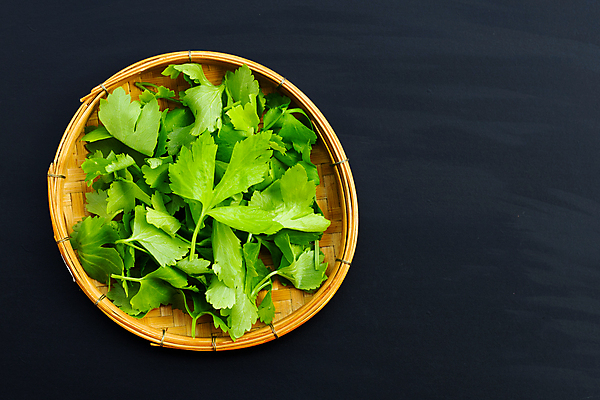 포토 JPG 해외이미지 백그라운드 잎 검은배경 사람없음 신선 유기농 슬라이스 샐러리 대나무소쿠리 카피스페이스 해외포토 식물 웰빙 채소 검은색 공백 파일형식 이미지허브