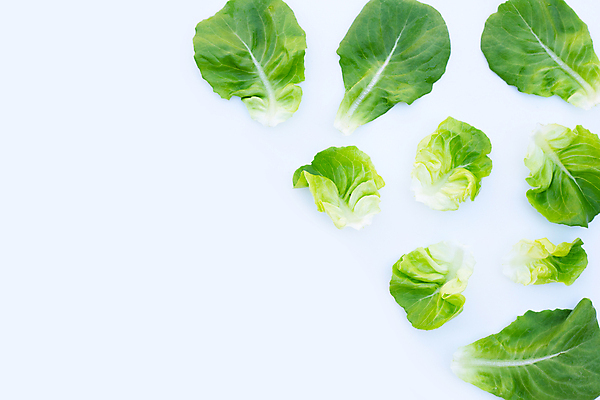 포토 JPG 해외이미지 백그라운드 사람없음 신선 상추 흰배경 유기농 카피스페이스 해외포토 웰빙 채소 공백 흰색 파일형식 이미지허브