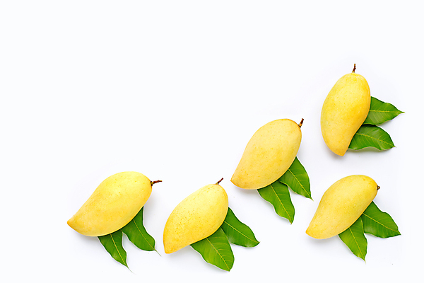 포토 JPG 해외이미지 잎 실내 사람없음 여러개 열대과일 흰배경 망고 카피스페이스 해외포토 식물 다수 백그라운드 과일 내부 공백 흰색 파일형식 이미지허브