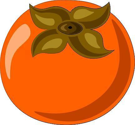 EPS 해외이미지 모양 디자인 어린이 음식 조각 스티커 잎 다이어트 오렌지 과일 일러스트 포장 배낭 디저트 건강 미술 동양인 그래픽 장식 초록색 상자 장난감 디지털 일본 공책 신선 신용카드 인쇄 만화 먹기 싱글 그림 고립 숙성 엘리먼트 이국적 해외일러스트 식물 아시아 컬러 가방 모션 문화예술 문구용품 사람 인종 금융 파일형식 벡터 이미지허브