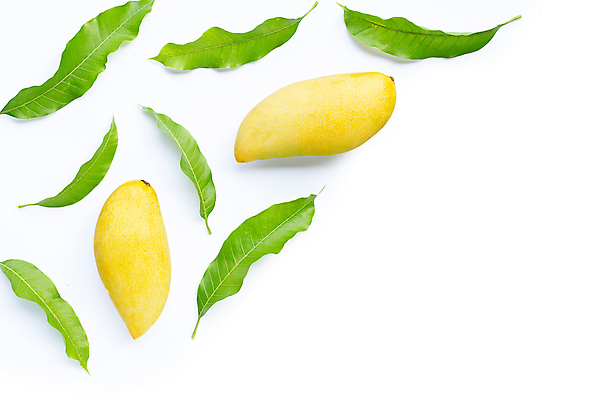 포토 JPG 해외이미지 잎 실내 사람없음 두개 열대과일 흰배경 망고 카피스페이스 해외포토 식물 백그라운드 2 과일 내부 공백 흰색 파일형식 이미지허브