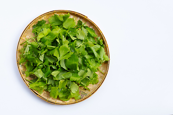 포토 JPG 해외이미지 백그라운드 사람없음 신선 흰배경 유기농 대나무소쿠리 해외포토 웰빙 흰색 파일형식 이미지허브