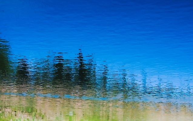 포토 JPG 해외이미지 나무 호수 파도 백그라운드 자연 하늘 표면 사람없음 야외 물 파란색 반사 연못 신선 액체 순수 민물 잔물결 해외포토 자연요소 식물 물결 바다 컬러 컨셉 생태계 파일형식 이미지허브