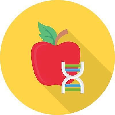 EPS 해외이미지 디자인 음식 과학 오렌지 과일 일러스트 자연 디저트 건강 신선 달콤 사과 DNA 심볼 사인 유기농 생물학 고립 유전 유전자변형 해외일러스트 웰빙 교육 맛 생명공학 생태계 파일형식 벡터 컨셉 의학 이미지허브