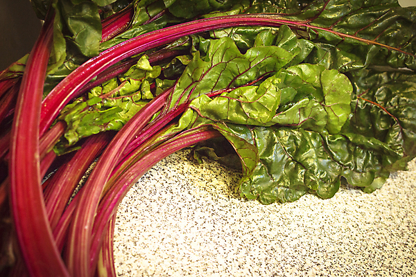 포토 JPG 해외이미지 식물 음식 백그라운드 무지개 잎 농업 다이어트 채소 재료 건강 사람없음 빨간색 초록색 컬러풀 보라색 식사 샐러드 수확 시골 신선 다발 허브 스위스 유기농 날것 내추럴 채식주의자 비건 해외포토 자연요소 웰빙 유럽 산업 컬러 채식 파일형식 이미지허브