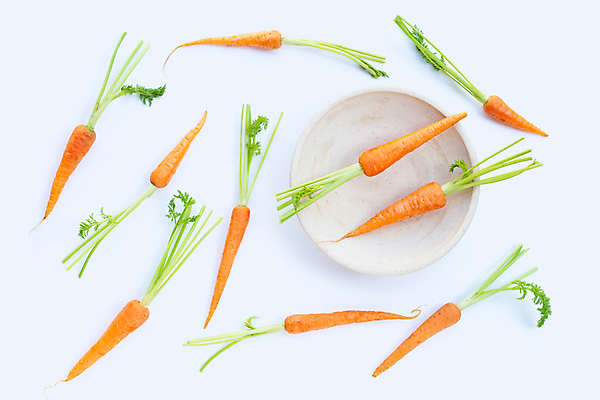 포토 JPG 해외이미지 접시 실내 사람없음 하이앵글 당근 흰배경 해외포토 식기 뷰포인트 백그라운드 뿌리채소 내부 흰색 파일형식 이미지허브
