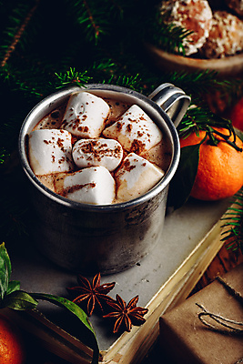 포토 JPG 해외이미지 빵 잎 귤 실내 따뜻함 사람없음 책 머그컵 달콤 감성 코코아 마시멜로우 코코아가루 팔각회향 해외포토 식물 음료 음식 컨셉 과일 디저트 내부 컵 맛 가루 향신료 파일형식 이미지허브