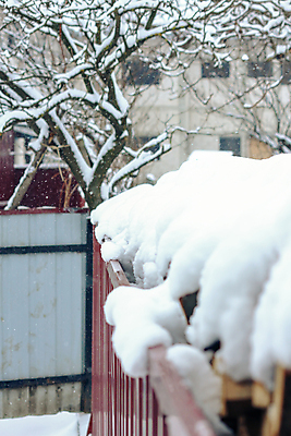 포토 JPG 해외이미지 나무 식물 선 겨울 자연 탁자 날씨 주택 앉기 사람없음 야외 건물 목재 울타리 냉동 얼음 고양이 추위 흰색 나뭇가지 개 서리 고드름 눈보라 해외포토 자연요소 건축물 계절 컬러 가구 재료 포유류 모션 눈_날씨 담장 반려동물 생태계 파일형식 이미지허브
