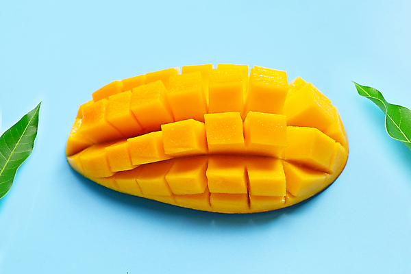 포토 JPG 해외이미지 잎 실내 사람없음 자르기 열대과일 파란배경 망고 애플망고 해외포토 식물 백그라운드 과일 모션 내부 파란색 파일형식 이미지허브