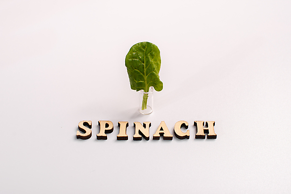 포토 JPG 해외이미지 식물 1 물결 음식 백그라운드 잎 농업 다이어트 채소 재료 자연 아이디어 건강 사람없음 초록색 물 빛 거품 샐러드 젖음 흰색 물방울 신선 액체 떨어짐 씻기 자르기 인도인 허브 유기농 포도나무 시금치 내추럴 고립 채식주의자 그리너리 해외포토 자연요소 외국인 웰빙 산업 컬러 컨셉 모션 동양인 청결 과일나무 생태계 채식 파일형식 트랜드컬러 이미지허브