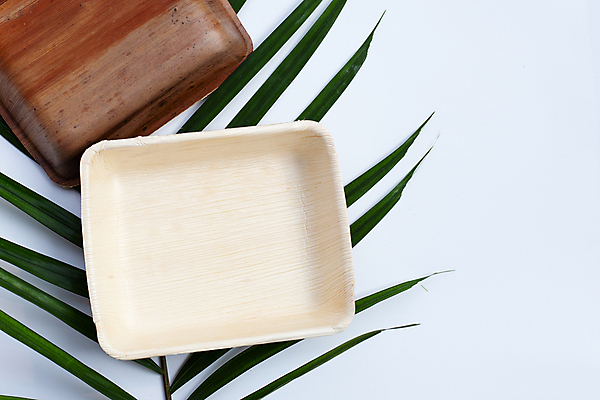 포토 JPG 해외이미지 실내 사람없음 흰배경 야자수잎 친환경제품 야자수잎접시 해외포토 접시 백그라운드 잎 내부 흰색 친환경 파일형식 이미지허브