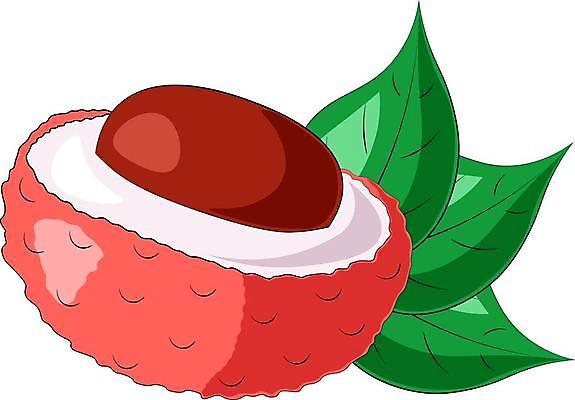 EPS 해외이미지 모양 디자인 어린이 음식 분홍색 스티커 잎 다이어트 과일 일러스트 포장 배낭 디저트 건강 미술 동양인 그래픽 장식 빨간색 초록색 상자 장난감 디지털 공책 신선 신용카드 인쇄 만화 먹기 오브젝트 싱글 그림 고립 엘리먼트 영양분 이국적 해외일러스트 식물 컬러 가방 모션 문화예술 문구용품 사람 인종 금융 파일형식 벡터 이미지허브