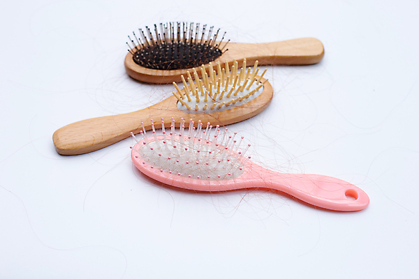 포토 JPG 해외이미지 실내 사람없음 머리카락 머리빗 오브젝트 흰배경 탈모 숱 해외포토 백그라운드 내부 머리 흰색 미용용품 증상 파일형식 이미지허브