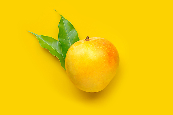 포토 JPG 해외이미지 잎 실내 사람없음 한개 열대과일 망고 노란배경 애플망고 해외포토 식물 1 백그라운드 과일 내부 노란색 파일형식 이미지허브